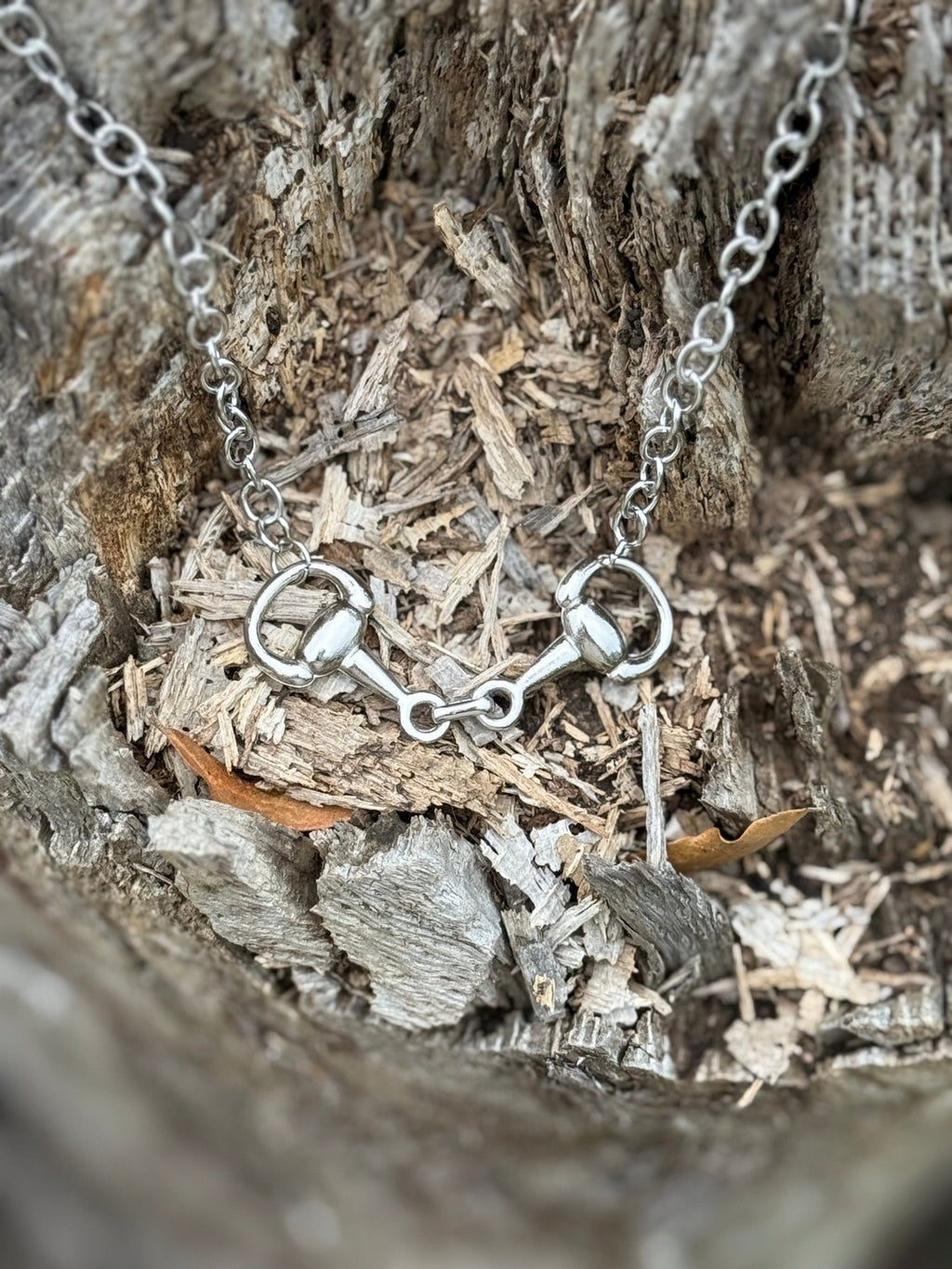 Snaffle Bit Silver Chain Necklace